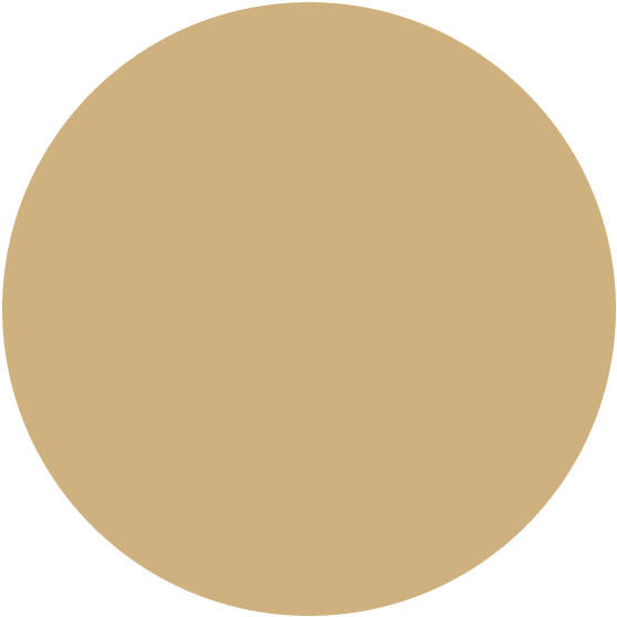 layer-slider-circle1